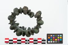 Foto von Bronzebuckelarmreif (NHMW-PRAE-025257)